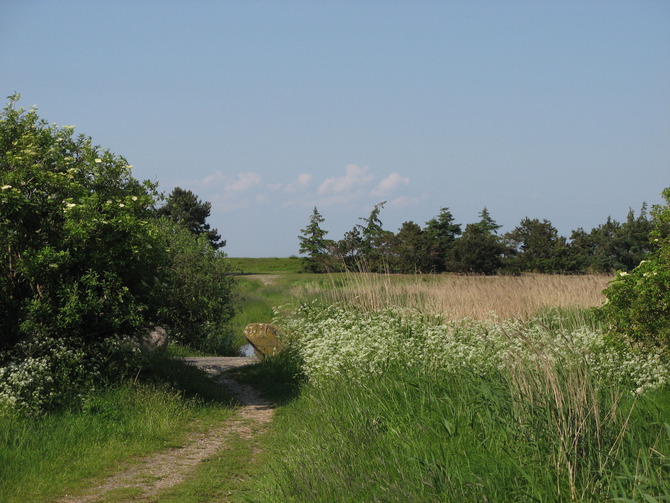 Ferienwohnung in Fehmarn OT Gammendorf - Ferienhof Hopp - Natur pur