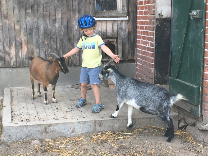 Ferienwohnung in Rettin - Bauernferienhof Kluvetasch Seestern - Frau Rottenmaier und Heidi