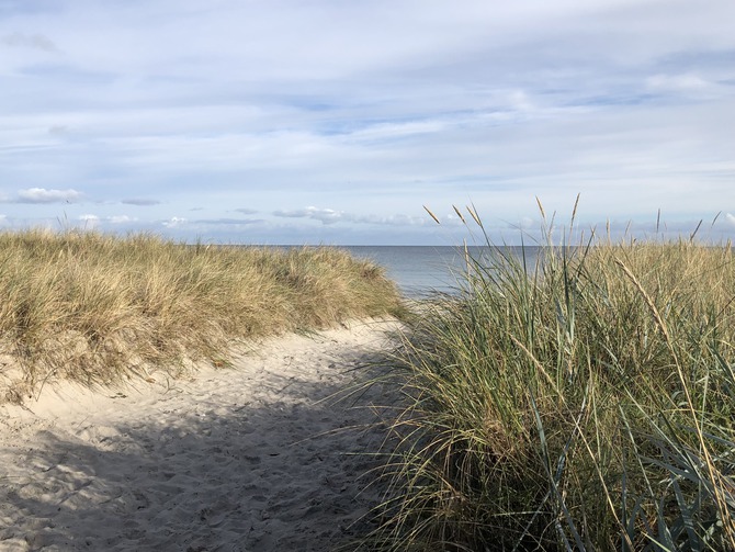 Ferienwohnung in Gro&szlig;enbrode - Am Kai 17 - Mitte - Bild 20