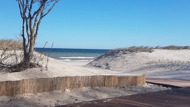 Appartement in Gro&szlig;enbrode - Bellevue - Bild 21