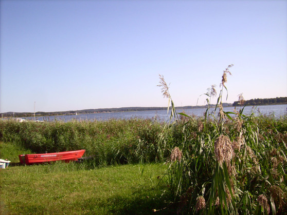 Ferienwohnung in Sellin - Seehus - Bild 5