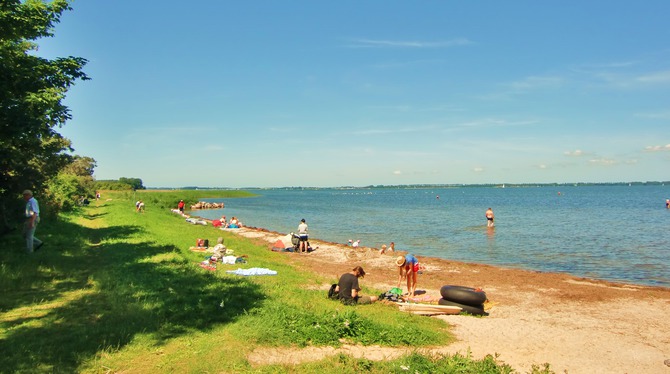 Ferienwohnung in Tremt - Zum Naturstrand - Naturstrand im Sommer