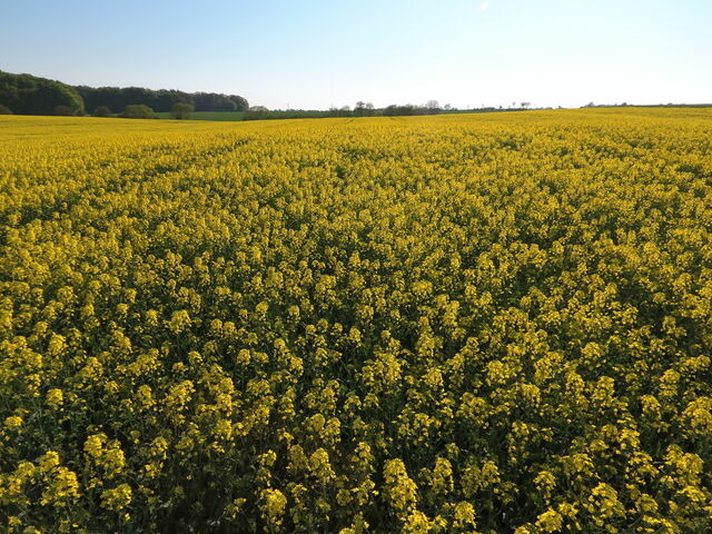 Ferienwohnung in Rabenkirchen-Faulück - Schleiblick App. 8 - Bild 8