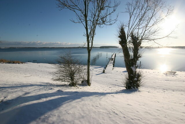 Ferienwohnung in Rabenkirchen-Faul&uuml;ck - Schleiblick Sparzimmer 1 - Bild 9