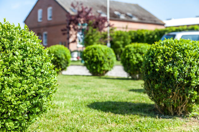 Ferienwohnung in Fehmarn OT Westermarkelsdorf - Austernfischer - Bild 13