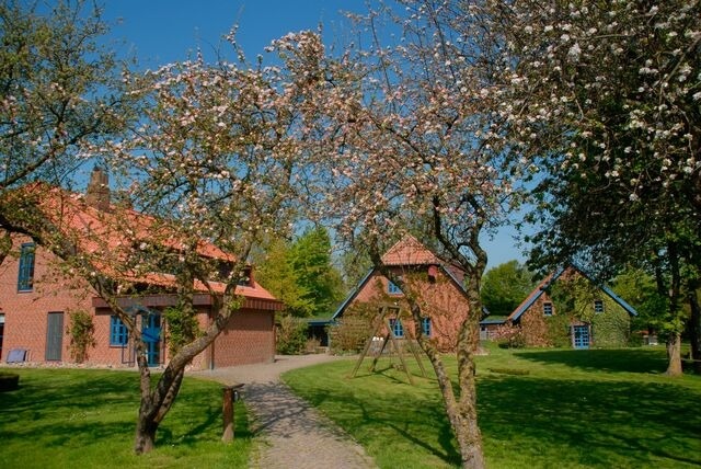 Ferienwohnung in Osterbyholz - FeWo Vidja - Bild 5