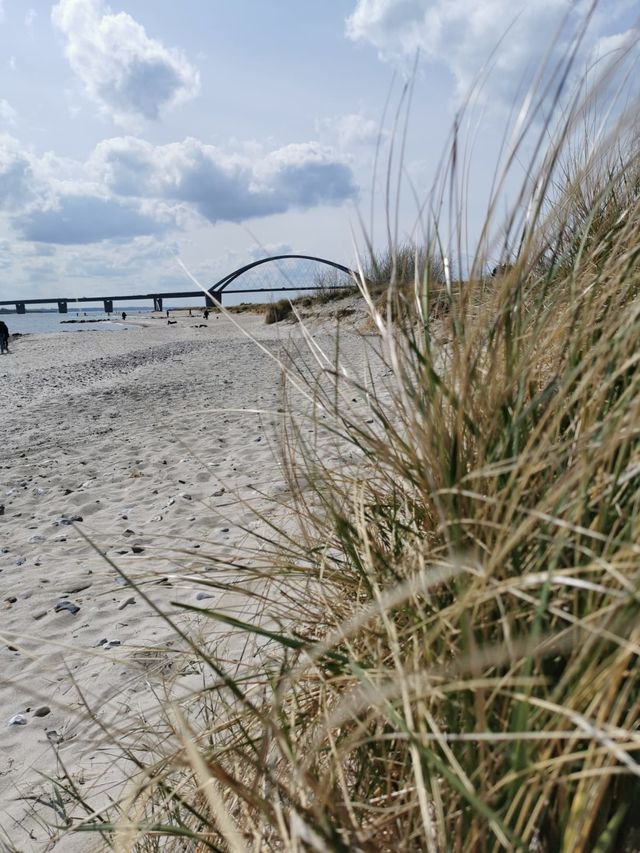 Ferienwohnung in Fehmarn OT Fehmarnsund - Ferienwohnung Höft - Bild 25