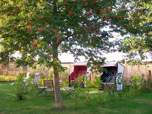 Ferienhaus in Fehmarn OT Neue Tiefe - Ferienhaus Nr.7 - Bild 17