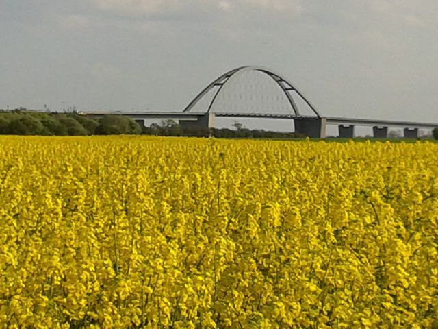 Ferienwohnung in Fehmarn OT Burg - FW Lippert - "Über den Dächern der Altstadt" - Bild 14