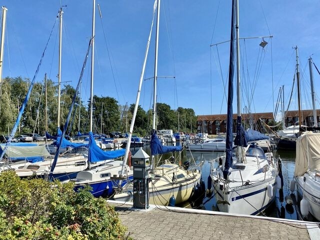 Ferienwohnung in Ueckermünde - Lagunenstadt am Haff Fewo 4 - Muschel - Bild 14