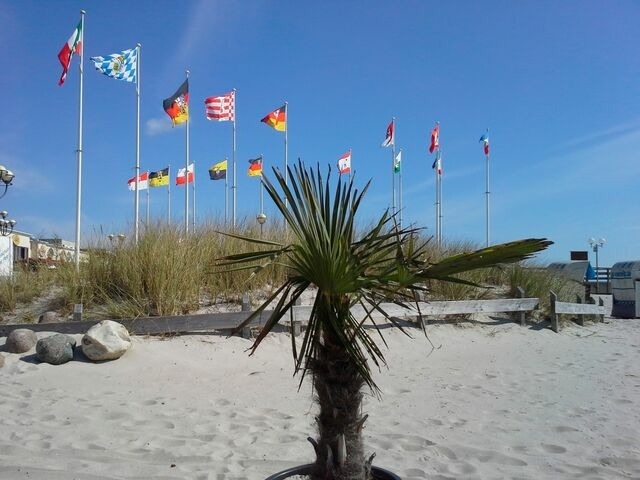 Ferienwohnung in Gr&ouml;mitz - Haus Baltic - Whg. 23 - NEU inkl. Saisonstrandkorb! - Bild 23