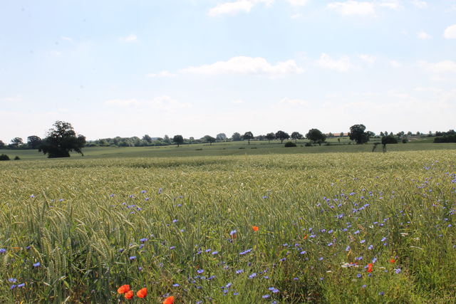 Ferienwohnung in Gr&ouml;mitz - "Wohnung: Holzkoppel - Hof Jasen" - Bild 22