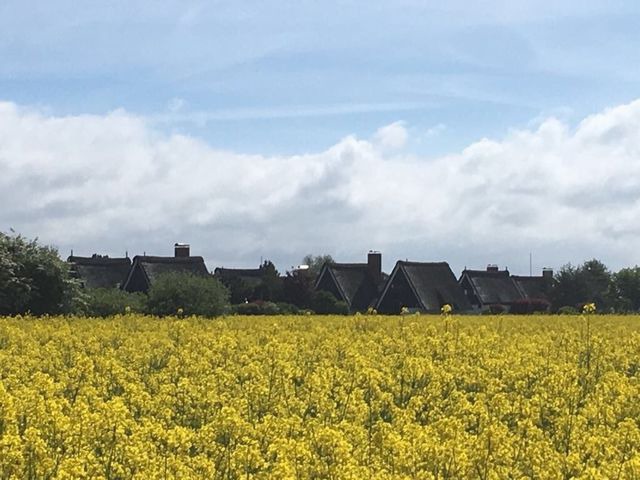 Ferienhaus in Gro&szlig;enbrode - Romantic Cottage - Bild 21