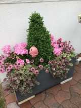 Ferienhaus in Gro&szlig;enbrode - Romantic Cottage - Bild 24