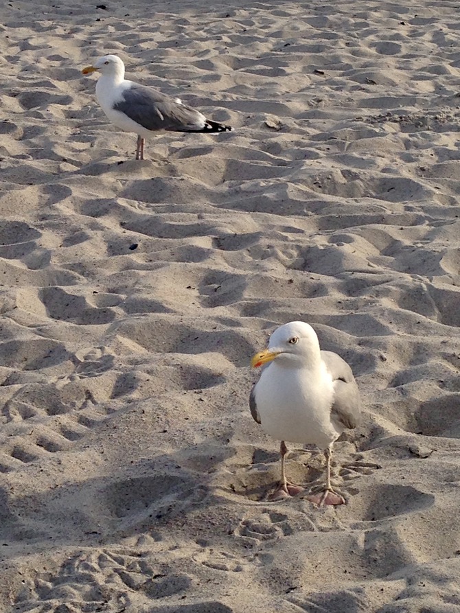 Ferienwohnung in Gro&szlig;enbrode - Vivaldi Wohnung Fridolin - Bild 18