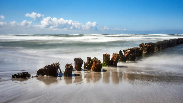 Ferienhaus in &Uuml;ckeritz - Seestern - Bild 23