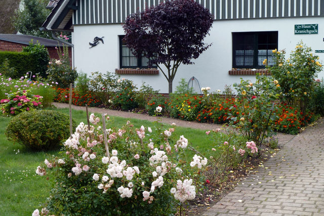 Ferienwohnung in Ostseeheilbad Zingst - Kranichguck, App. 2 - Bild 10