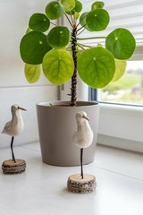 Ferienwohnung in Fehmarn - Knusthof Lafrenz - West - Bild 10