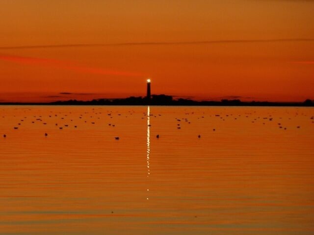 Ferienwohnung in Fehmarn - Südwind - Bild 20