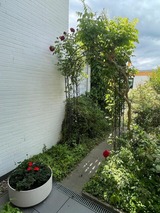 Ferienwohnung in Hohwacht - Hohes Ufer 20 Ostseeluft - Bild 21