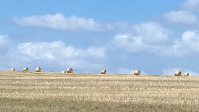 Ferienwohnung in Zirkow - Fewo Storchennest - Bild 22