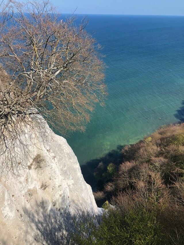 Ferienwohnung in Zirkow - Fewo Storchennest - Bild 16