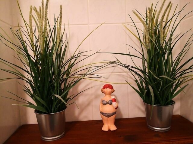 Ferienwohnung in Dahme - Abendsonne - Bild 17