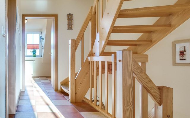 Ferienhaus in Zingst - Deichweg 8 - Bild 11