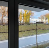 Ferienwohnung in Zingst - Seestra&szlig;e 71 Ap. 7 - Bild 8