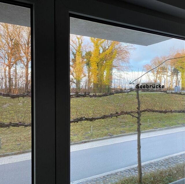 Ferienwohnung in Zingst - Seestra&szlig;e 71 Ap. 7 - Bild 8