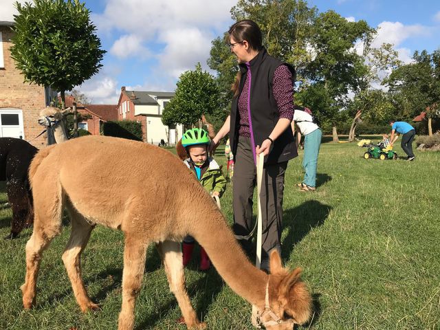 Ferienwohnung in Fehmarn OT Staberdorf - Landhaus 6, inkl. 1 Parkplatz - Bild 12
