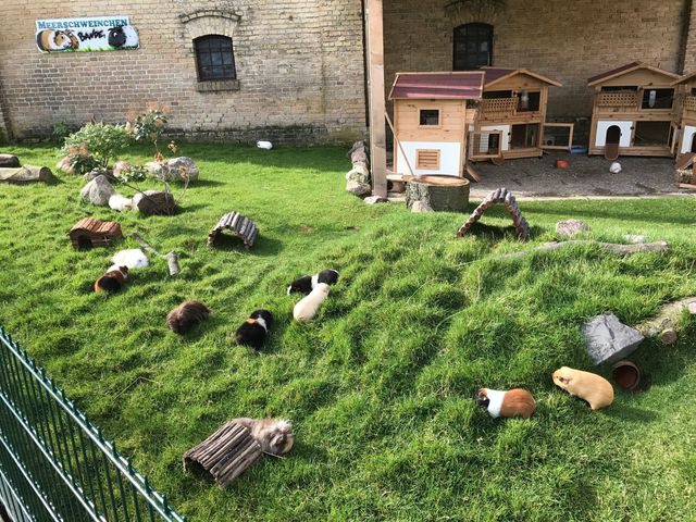 Ferienwohnung in Fehmarn OT Staberdorf - Landhaus 6, inkl. 1 Parkplatz - Bild 19