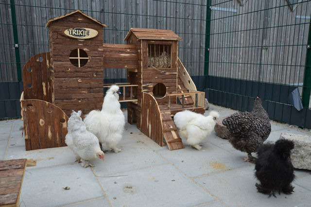 Ferienwohnung in Fehmarn OT Staberdorf - Landhaus 6, inkl. 1 Parkplatz - Bild 21