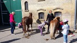 Ferienwohnung in Fehmarn OT Staberdorf - Bauernhaus 2 - Bild 14