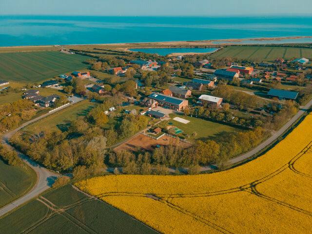 Ferienwohnung in Fehmarn OT Westermarkelsdorf - Sahel - Bild 9