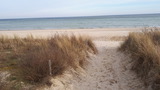 Ferienwohnung in Baabe - Ferienwohnung Strandrose - Blick auf den feinen Sandstrand