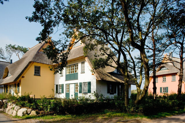 Ferienhaus in Dierhagen - Dünenmeer Ferienhäuser - Bild 4
