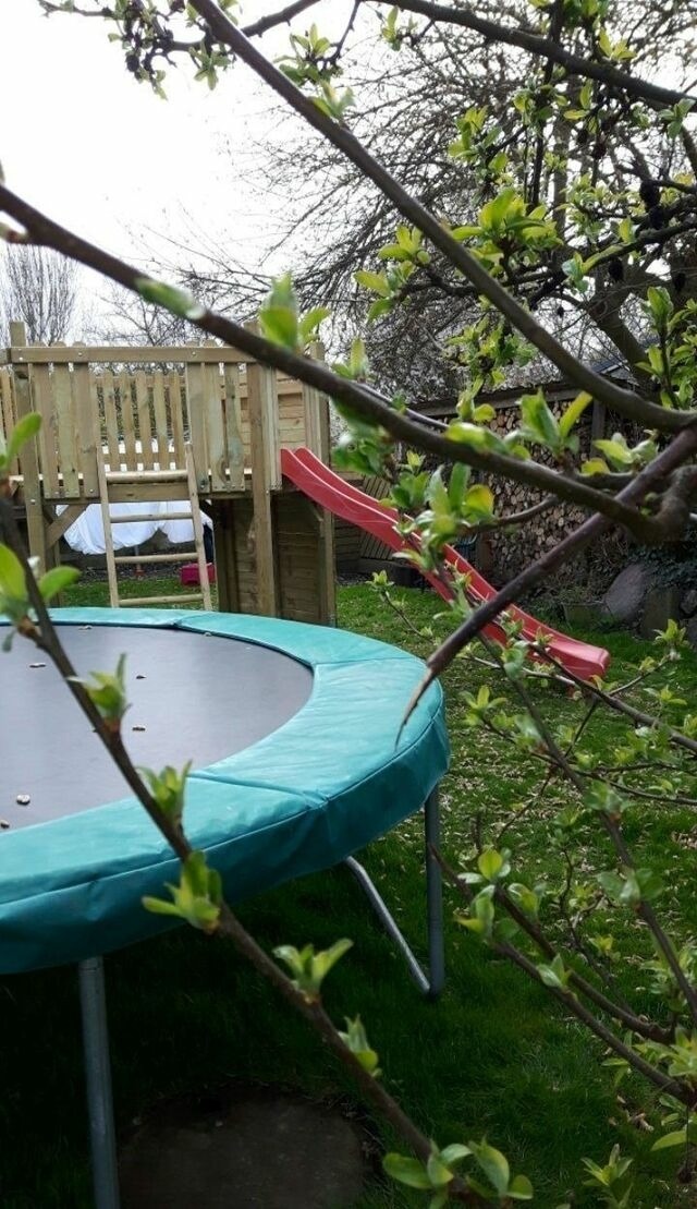 Ferienhaus in Fehmarn OT Sahrensdorf - Ferienhaus f&uuml;r die Gro&szlig;familie oder Gruppenhaus auf dem Ferien- und Bauernhof Nielson in Inselmitte - Bild 7