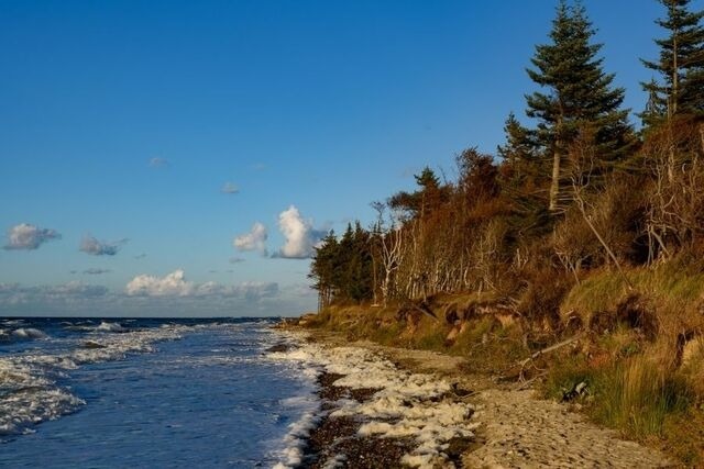 Ferienwohnung in Graal-Müritz - Aster - Bild 18