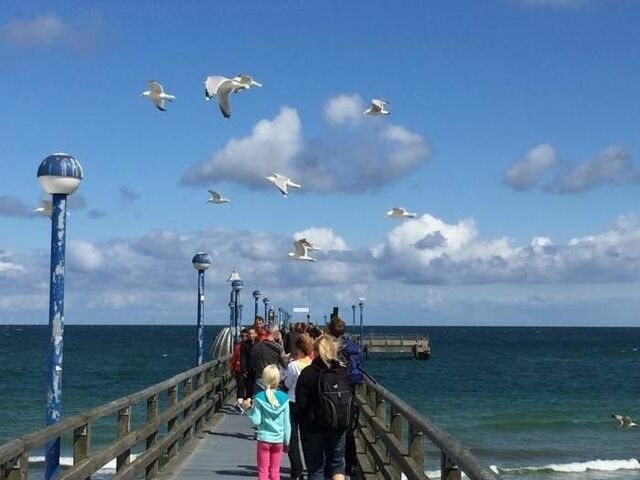 Ferienwohnung in Zingst - Ferienwohnung in Strandnähe - F6789 - Bild 17