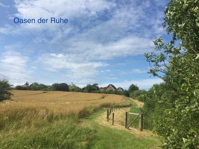 Ferienwohnung in Wendtorf - Whg. Seeschwalbe - Haus Nordlichter - Bild 23