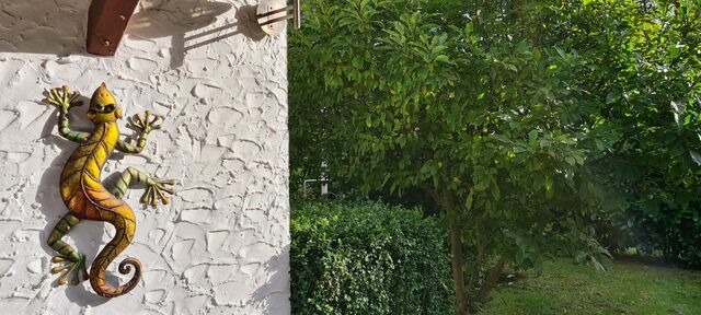 Ferienhaus in Dierhagen - Fischlandhus - Bild 20