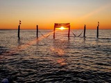 Ferienwohnung in Zingst - Strandm&ouml;we 1 - Bild 12