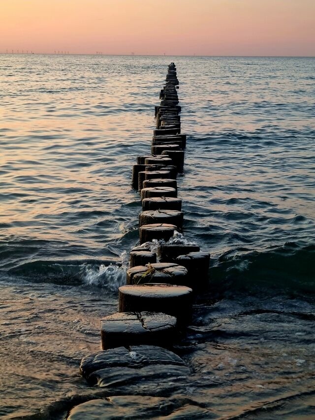 Ferienwohnung in Zingst - Strandm&ouml;we 1 - Bild 13