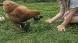 Ferienwohnung in Riepsdorf - Neu! Kreativ- Workshops f&uuml;r unsere G&auml;ste - Bild 13