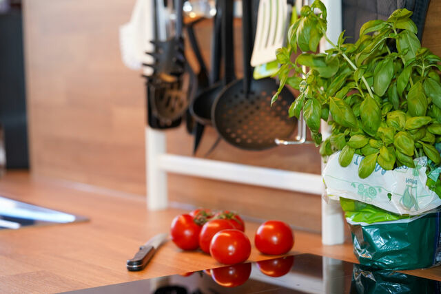 Ferienwohnung in Gr&ouml;mitz - Ferienwohnung Rosenthal - Bild 15