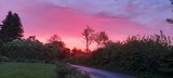 Ferienwohnung in Schönwalde - Hügelkate in Vogelsang - Sonnenaufgang in Vogelsang