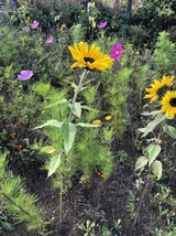 Ferienwohnung in Steinbeck - MP 7 Backbord - Bild 16