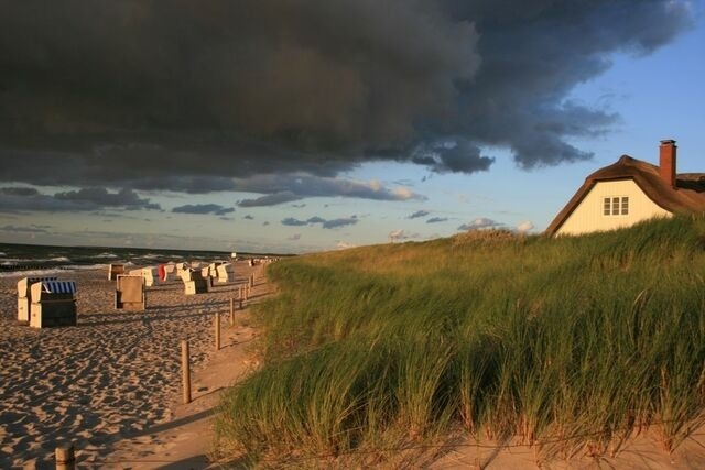 Ferienwohnung in Born a. Darß - Ferienwohnung Nr. 03 (EG + OG) - Bild 24