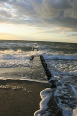 Ferienwohnung in Born a. Darß - Ferienwohnung Nr. 09 (EG) - Bild 23